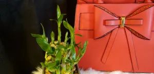 Bow Handbag