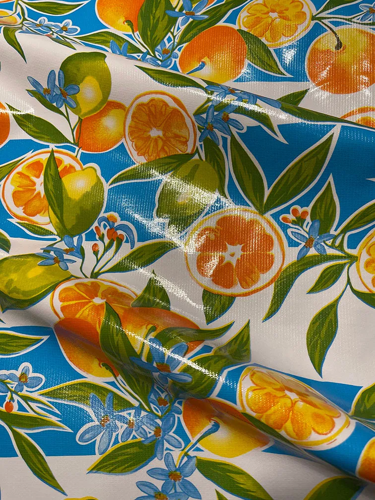 Bright Blue Stripe Fruit Oilcloth Fabric