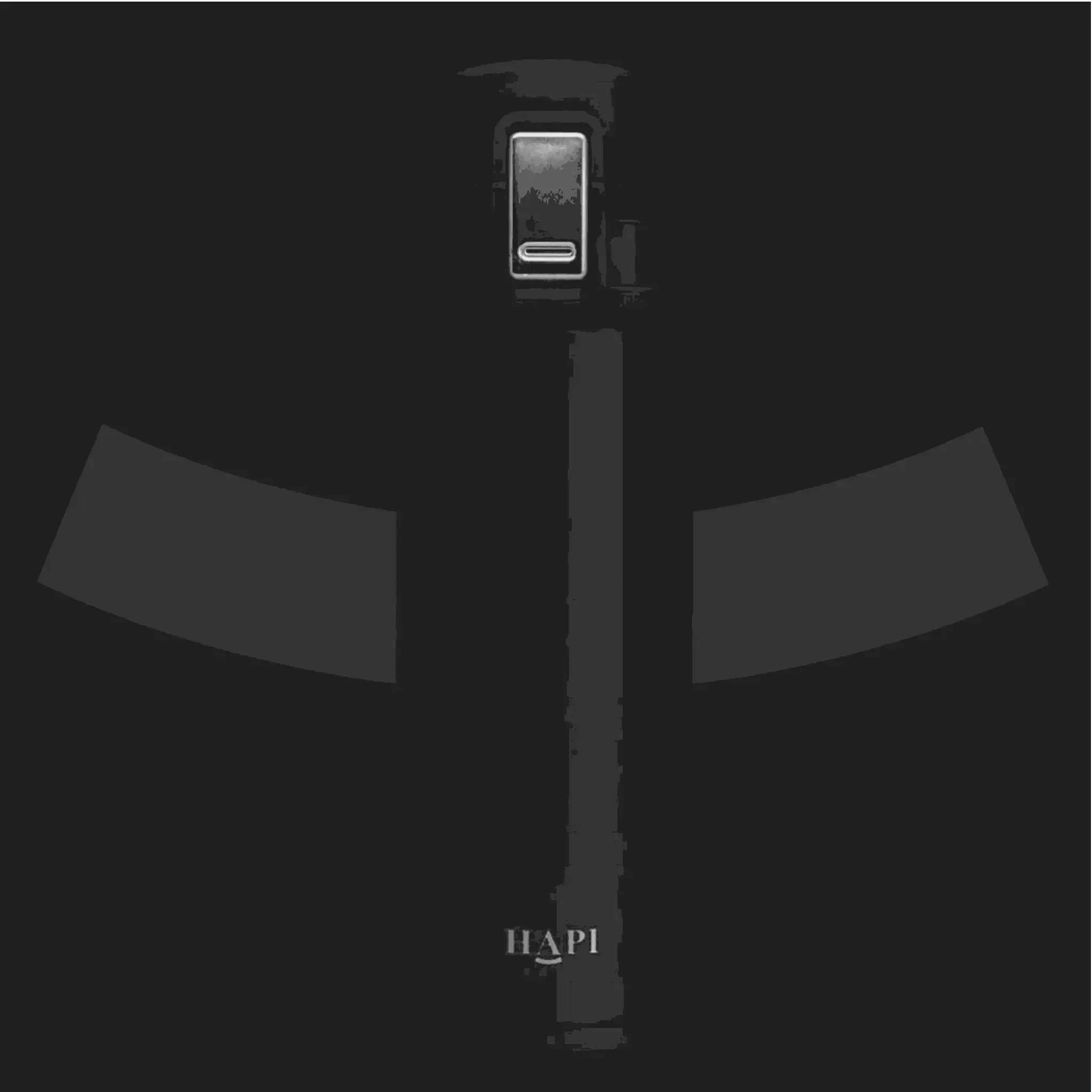 Hapi Bottle Flask Black Small 350ml